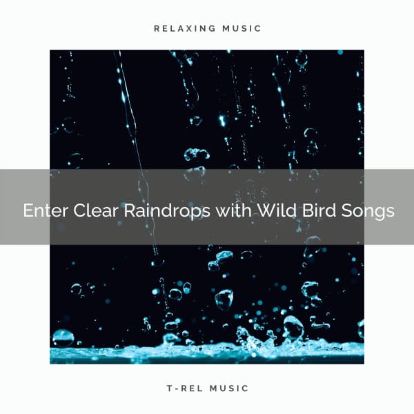 ! ! ! ! ! ! Enter Clear Raindrops with Wild Bird Songs - Ambient Rain