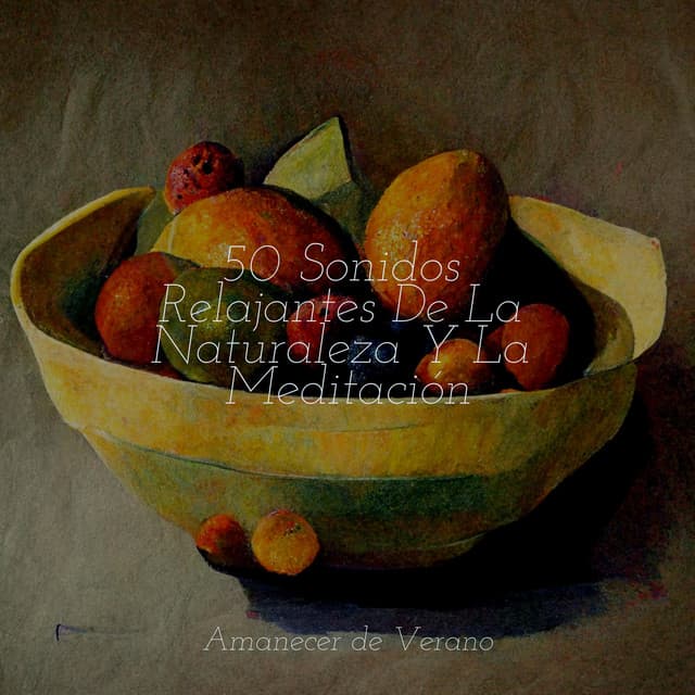 50 Sonidos Relajantes De La Naturaleza Y La Meditación - Música Relajante para Bebés