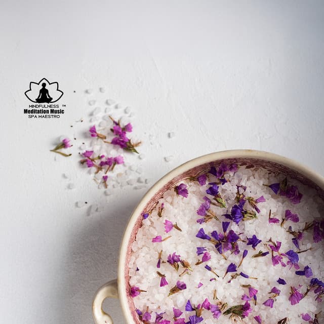 Lavender Space for the Soul - Mindfulness Meditation Music Spa Maestro