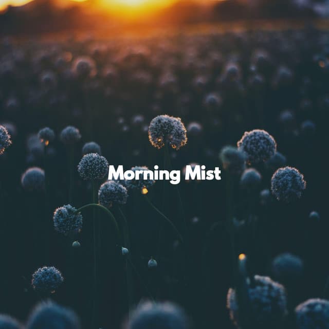 Morning Mist - Chill Vibes for Coffee Shops