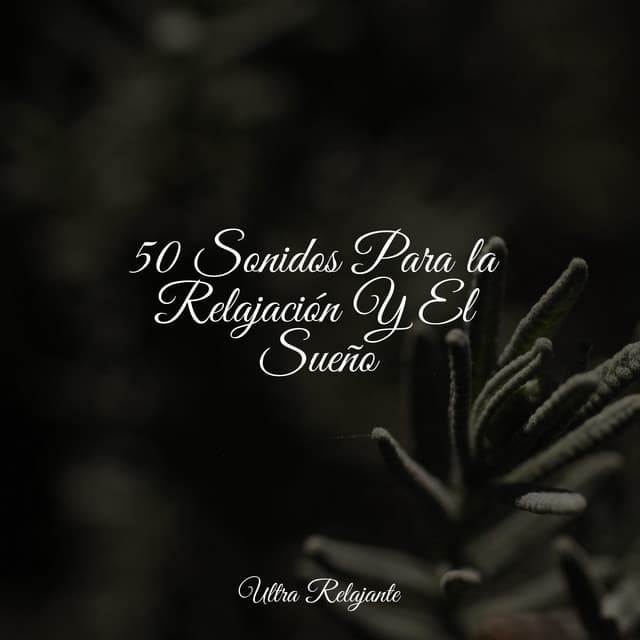 50 Sonidos Para la Relajación Y El Sueño - El hada de las canciones de cuna