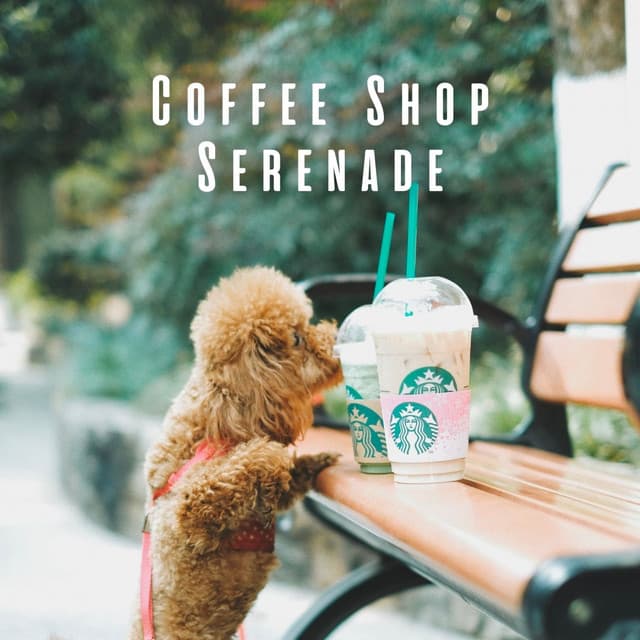 Coffee Shop Serenade: Jazz Melodies for Soothing Pets - Jazz in the Background