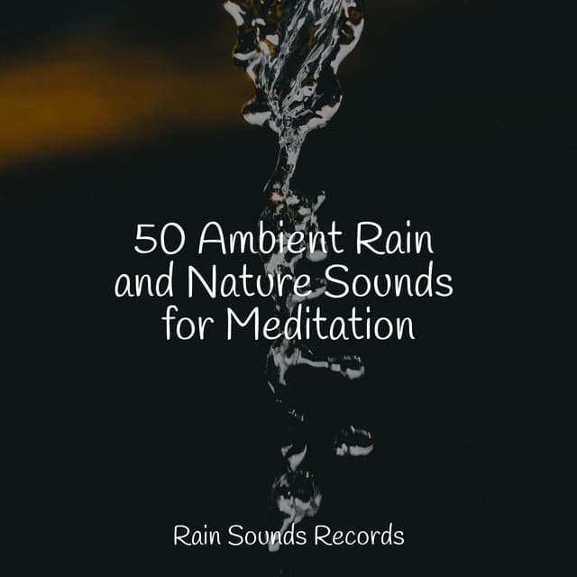 50 Ambient Rain and Nature Sounds for Meditation - Natureza