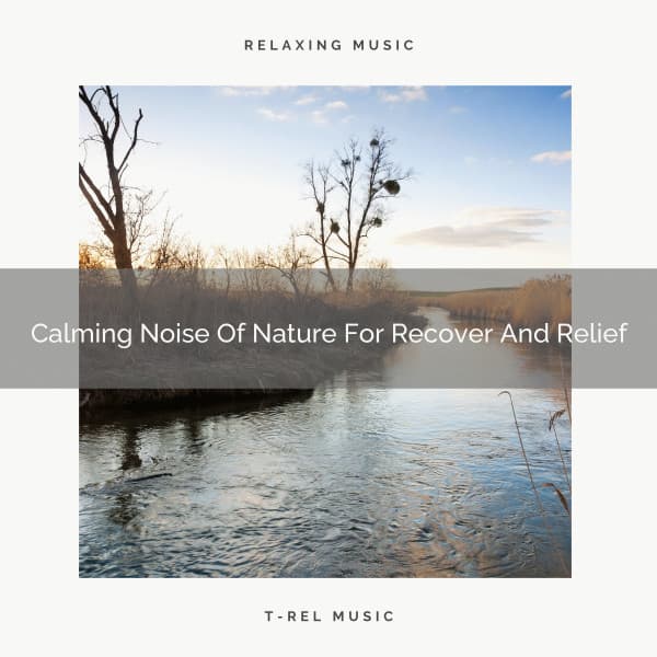 Calming Noise Of Nature For Recover And Relief - Sea Sounds