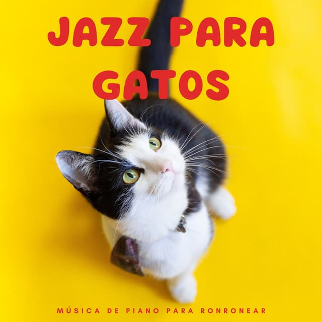 Jazz Para Gatos: Música De Piano Para Ronronear - Lista de reproducción Classy Bossa Piano Jazz