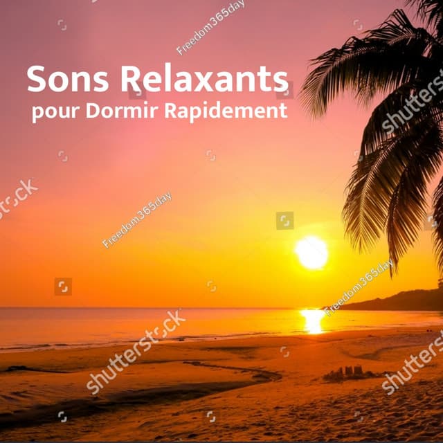 Sons Relaxants pour Dormir Rapidement - Relaxation Sommeil et Détente
