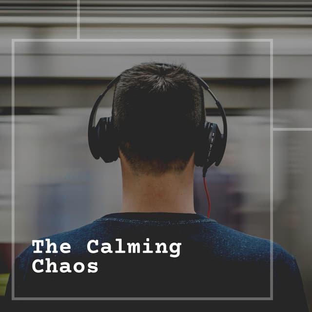 The Calming Chaos - White Noise Radiance
