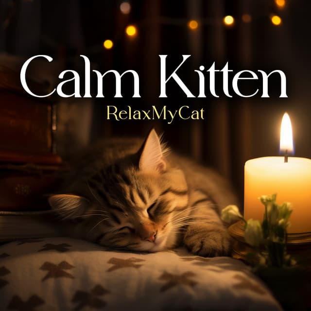 Calm Kitten - RelaxMyCat