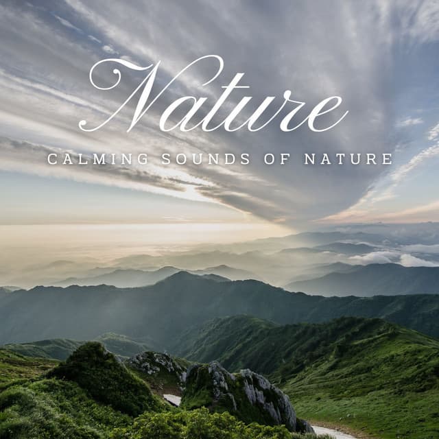 Eternal Waterscapes: Calming Sounds of Nature - Waterfall White Noise