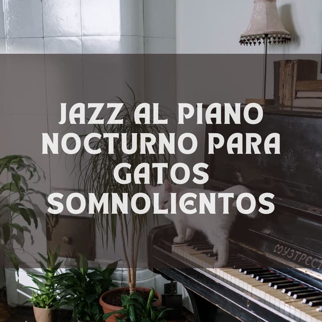 Jazz Al Piano Nocturno Para Gatos Somnolientos - Piano relajante profundo