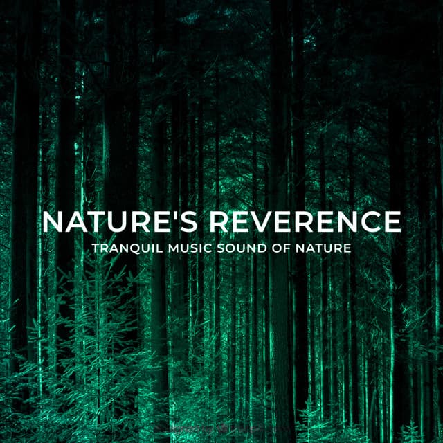 Nature's Reverence - Tranquil Music Sound of Nature