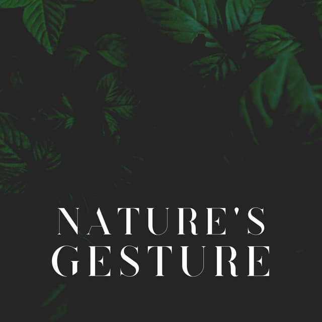Nature's Gesture - Recording Nature