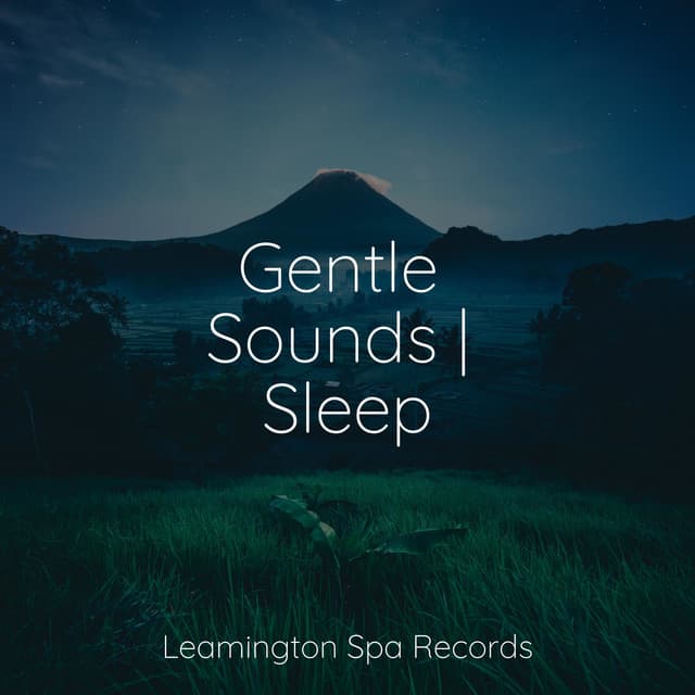 Gentle Sounds | Sleep - Sounds Of Rain & Thunder Storms