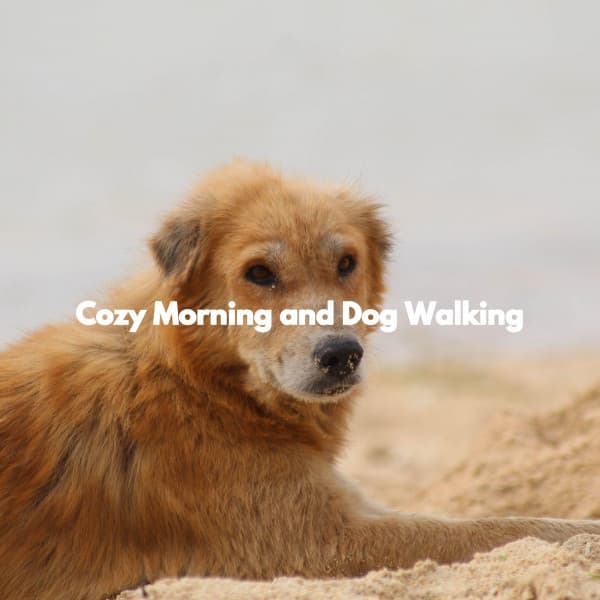 Cozy Morning and Dog Walking - Dog Anxiety Music