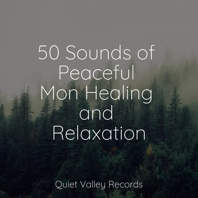 50 Sounds of Peaceful Mon Healing and Relaxation - Rain Sound Studio