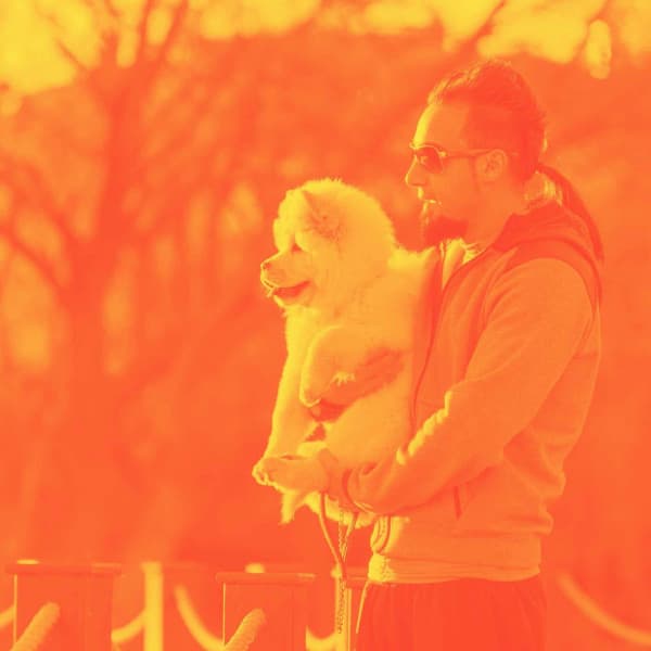 Music for Lazy Hound - Jazz for Dogs