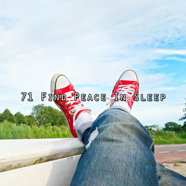 71 Find Peace In Sleep - Baby Music