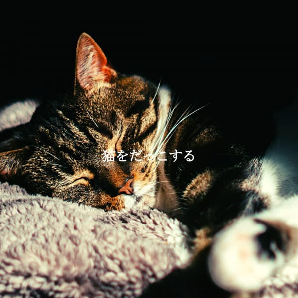 猫をだっこする - Easy Listening Sunday Morning Music