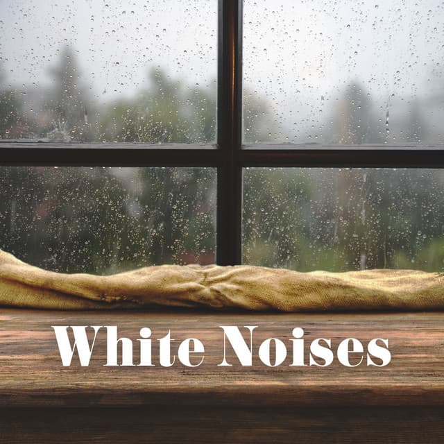 White Noises – Wind And Rainstorm For Studying - Noise Specialist