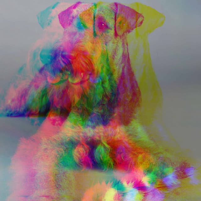 Trio Jazz - Ambiance for Vet Trips - Doggy Relaxing Sounds