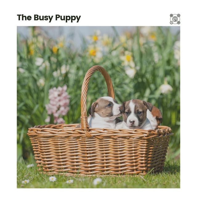 The Busy Puppy - Sleeping Music For Dogs