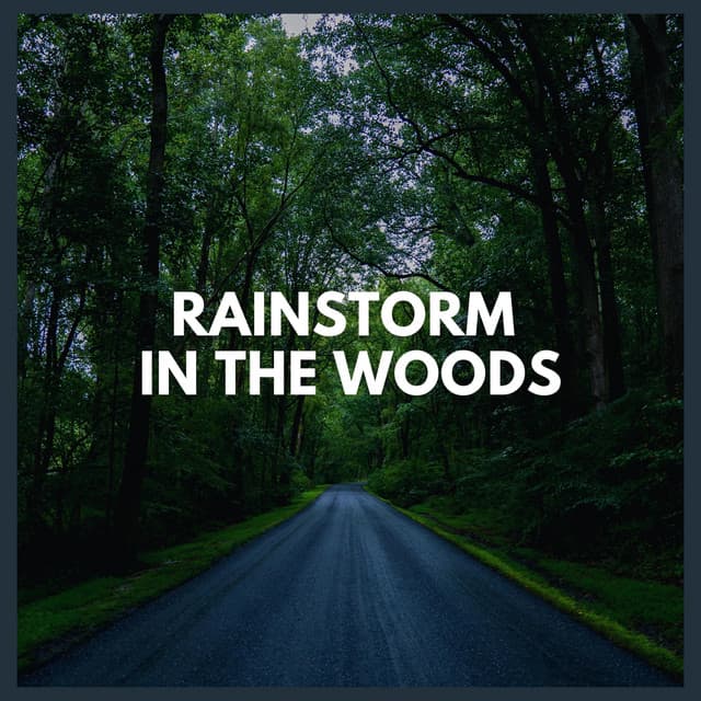 Rainstorm in the Woods - Thunderstorm Global Project
