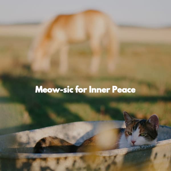 Meow-sic for Inner Peace - Jazz Classics Cafe
