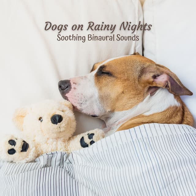 Dogs on Rainy Nights: Soothing Binaural Sounds - Binaural Beats Research