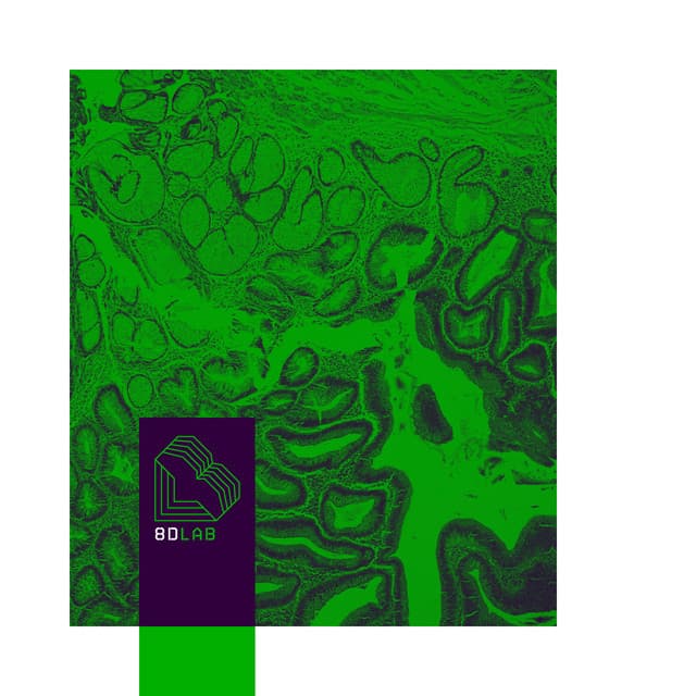 Piano Whispers - 8D Lab - Piano Music