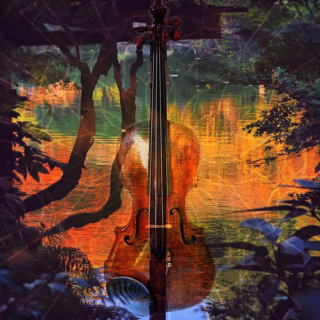 Violin Relax - Violin Collective