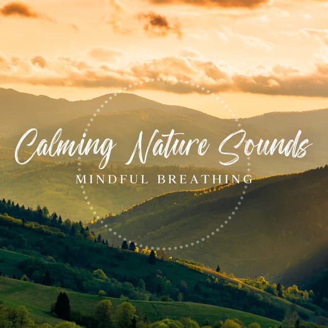 Calming Nature Sounds - Zen Soothing Sounds of Nature