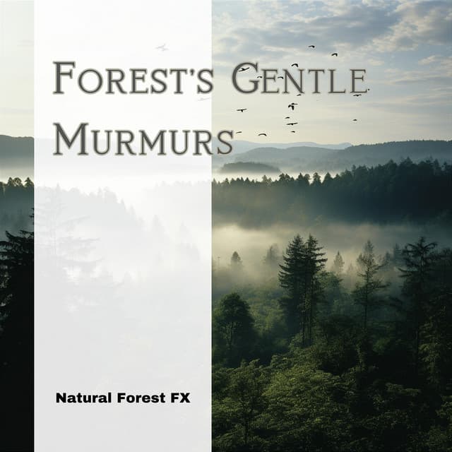 Forest's Gentle Murmurs - Natural Forest FX