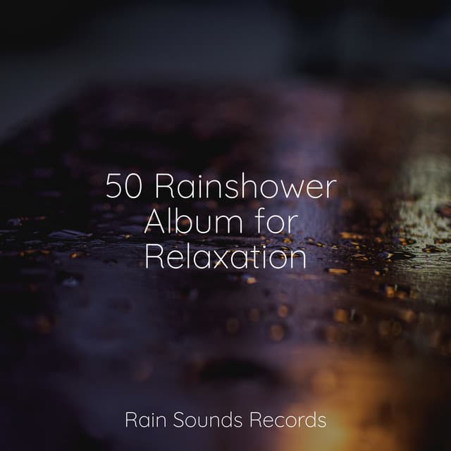 50 Rainshower Album for Relaxation - Rain Sound Studio