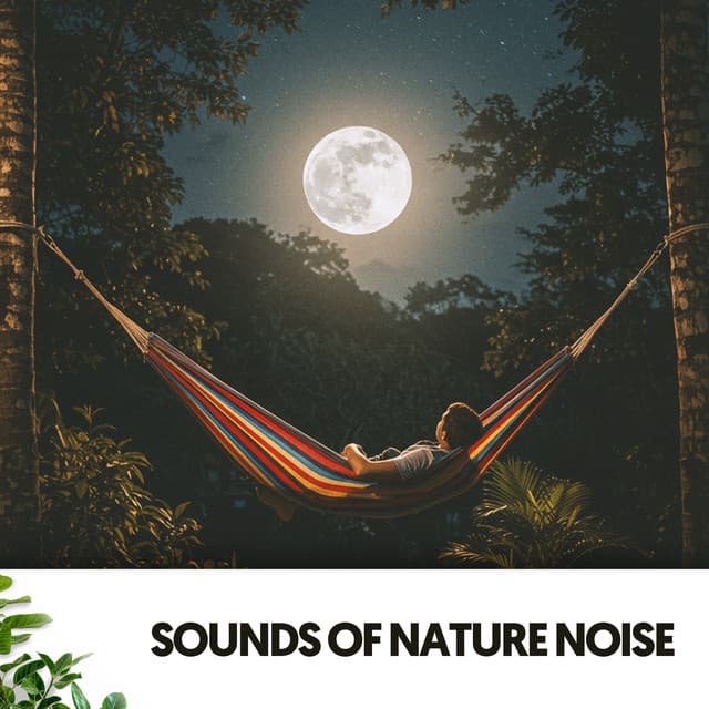 Sounds of Nature Noise: Melodies from the Sky - Relajacion