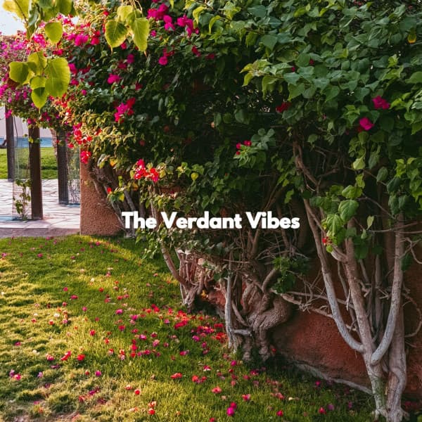 The Verdant Vibes - Café Música Ambiente