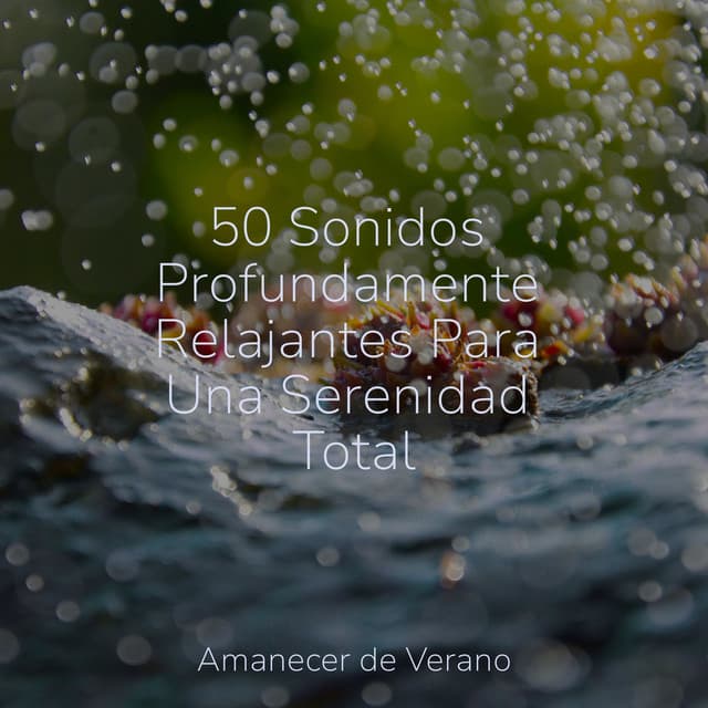 50 Sonidos Profundamente Relajantes Para Una Serenidad Total - Rising Higher Meditation