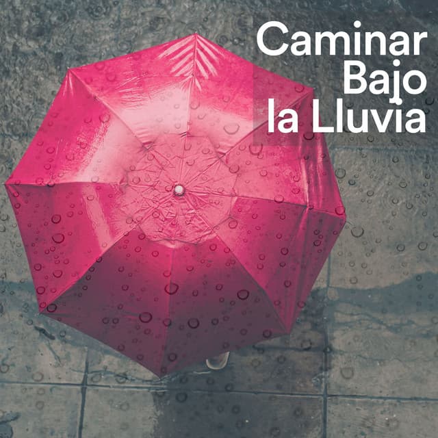 Caminar Bajo la Lluvia - Tromentas Naturales