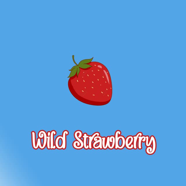Wild Strawberry - LO-FI BEATS