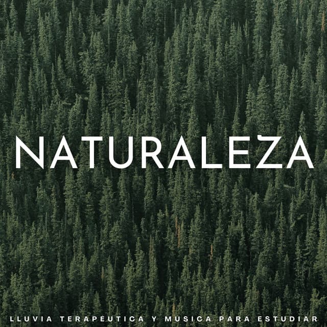 Naturaleza: Lluvia Terapéutica Y Música Para Estudiar - Lluvia Soundzzz Club