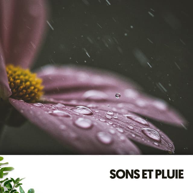 Sons et Pluie: Mélodies de la Nature - Ruido Blanco Hart