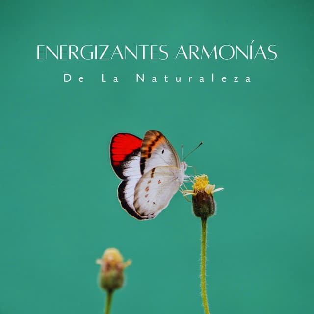 Energizantes Armonías De La Naturaleza - Grabaciones relajantes de la Naturaleza