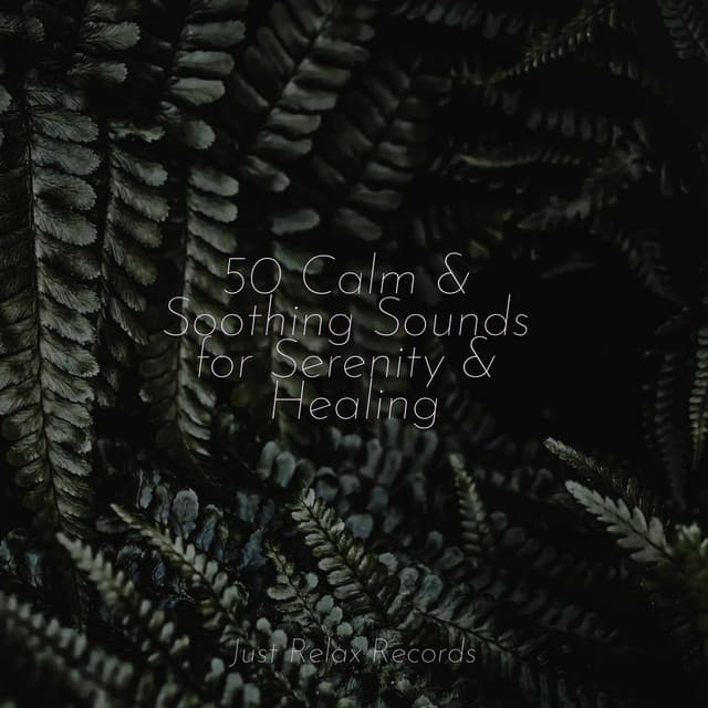 50 Calm & Soothing Sounds for Serenity & Healing - Lucid Dreaming World-Collective Unconscious Mind