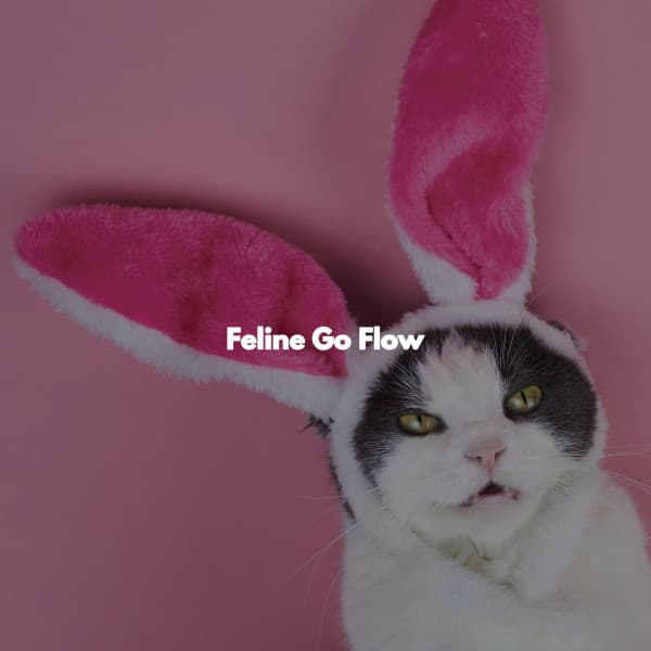 Feline Go Flow - Dinner Time Jazz