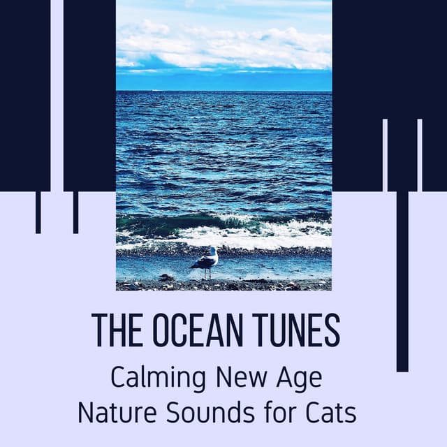 The Ocean Tunes - Calming New Age Nature Sounds for Cats - Ocean Sounds Plus