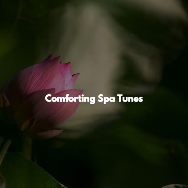Comforting Spa Tunes - Spa Day At Home
