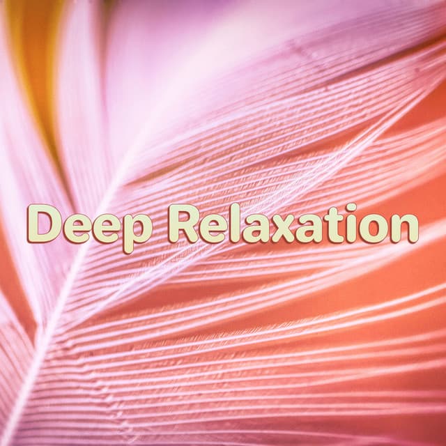 Deep Relaxation - Spa Music Hour