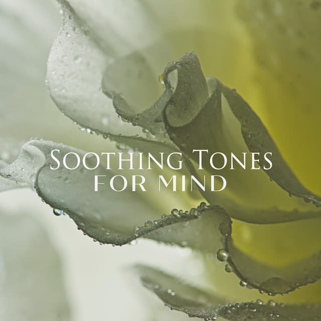 Soothing Tones for Mind: Music to Feel More Relaxed and Calm - Relaxing Evening Music Universe