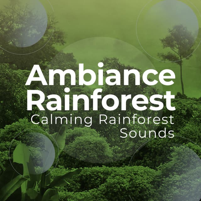 Ambiance Rainforest - Calming Rainforest Sounds