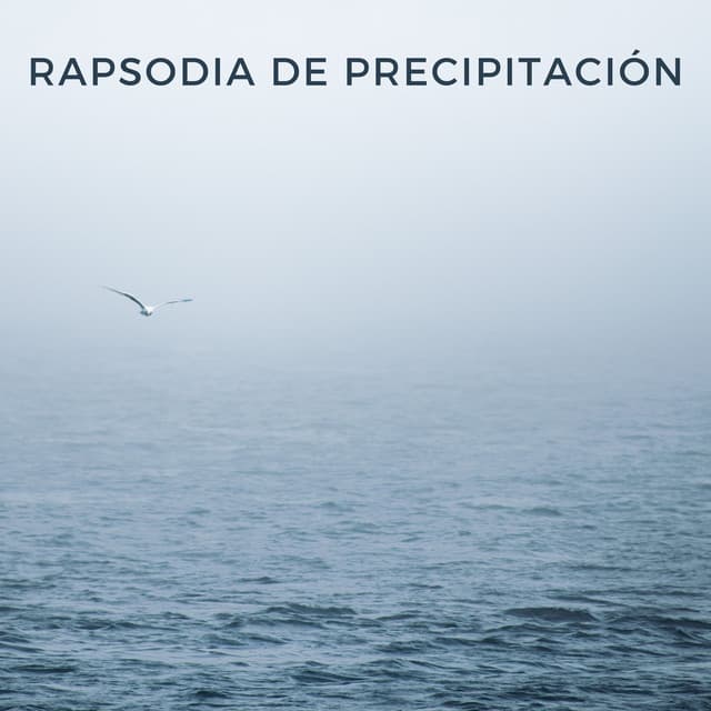 Rapsodia De Precipitación - Lluvia Calmante