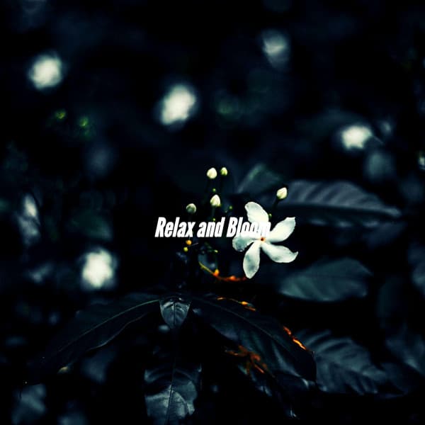 Relax and Bloom - Soft Dinner Music